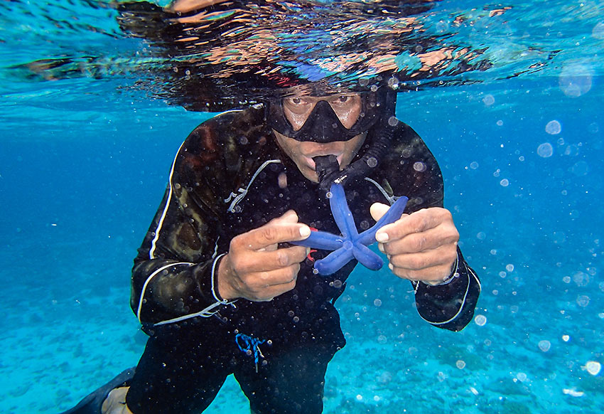 snorkling guide Niu Lebaivalu with blue starfish at Honeymoon Island