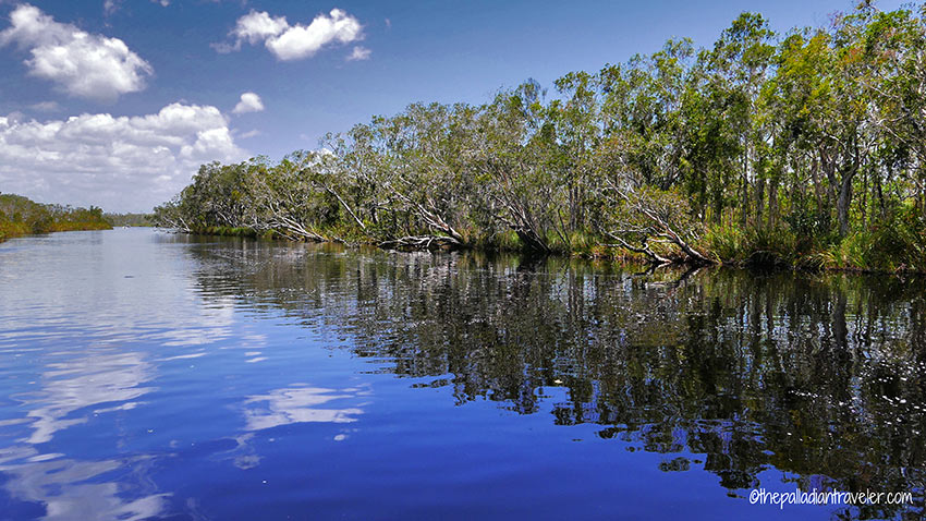 Noosa Everglades, Sunshine Coast, Australia