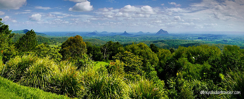 Mary Carincross Scenic Reserve with the Glasshouse Mountains in the background