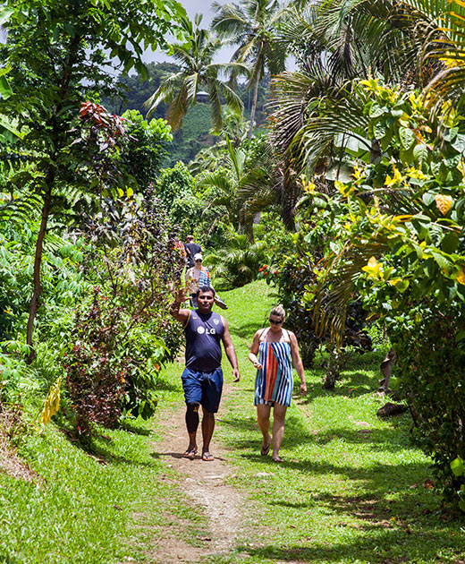 half-mile walk to Tavoro Falls, Taveuni
