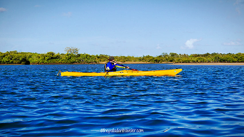 writer on a kayak at the Maroochy River