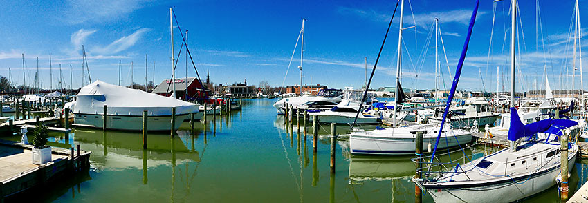 yachts at Annapolis Harbor