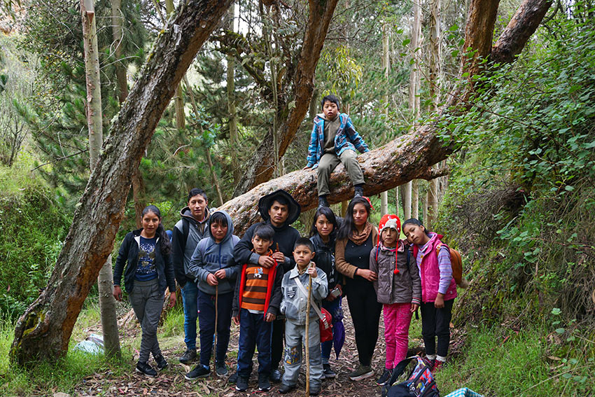 Peruvian students on a hike in a forest