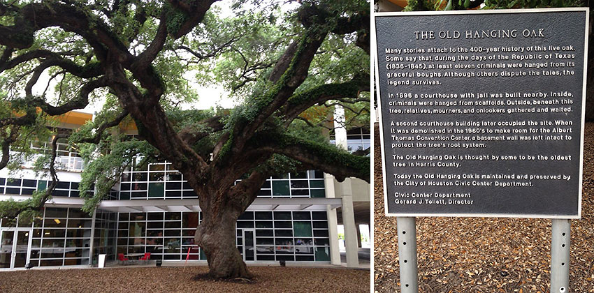 The Old Hanging Oak and memorial, Houston