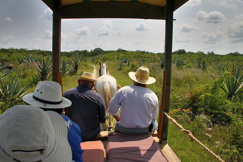 Mexican farm