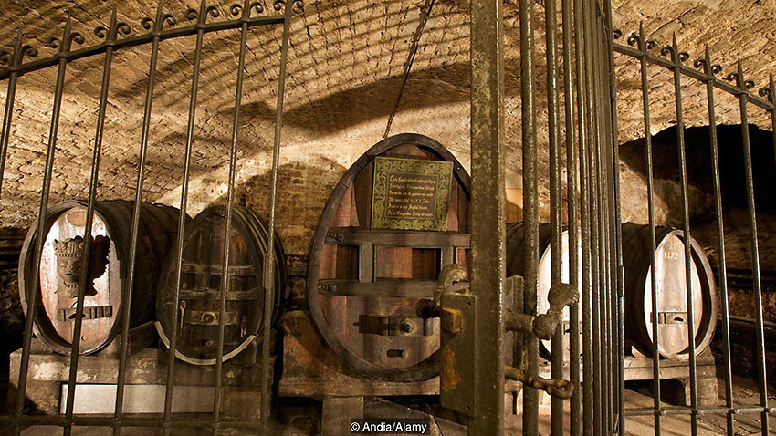 inside the cellar housing the world's oldest white wine