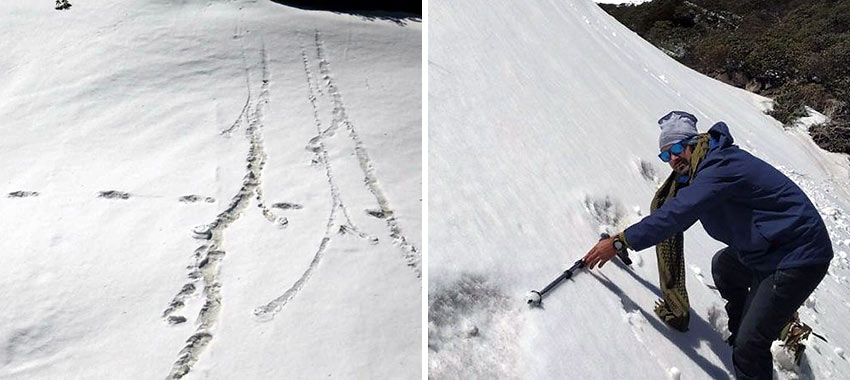 footprints in the snow near Makalu Base Camp in Nepal