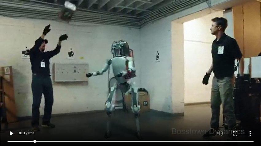 video: It's not nice to tease a robot