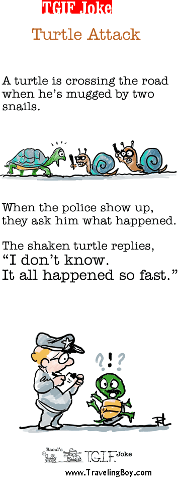 TGIF Joke of the Week: Turtle Attack
