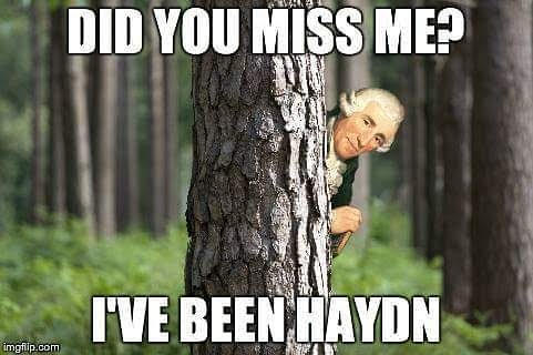 Don's puns: Been Haydn