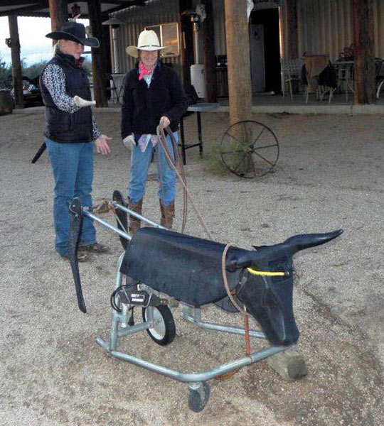 author being given a roping lesson at Arizona Cowboy College