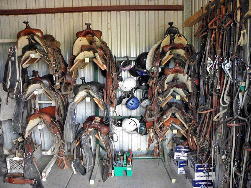 saddles at Arizona Cowboy College