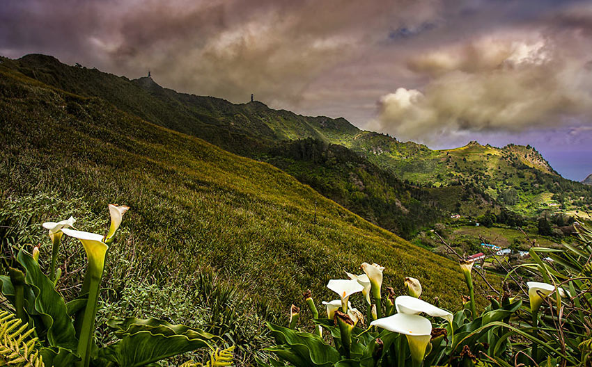 Diana’s Peak National Park, St. Helena