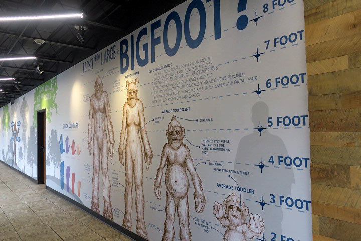 Bigfoot Fun Park, Branson, Missouri