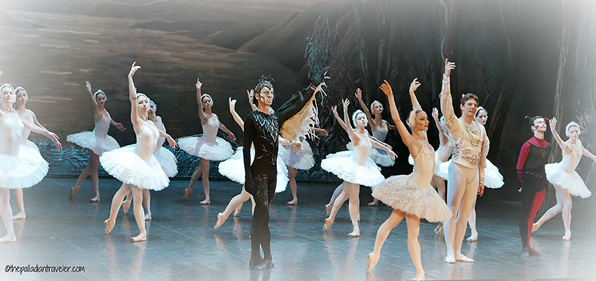 Swan Lake at the Hermitage Theatre