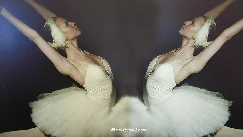 prima ballerina as Princess Odette in Swan Lake