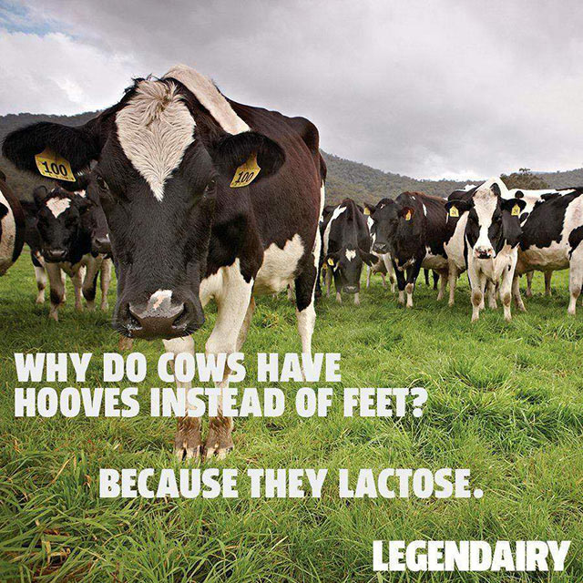 Don's Puns: Legendairy