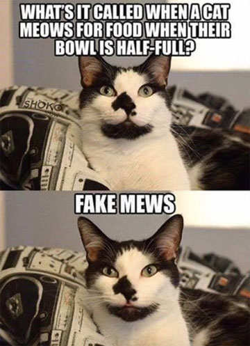 Rodney's Puns: Fake Mews