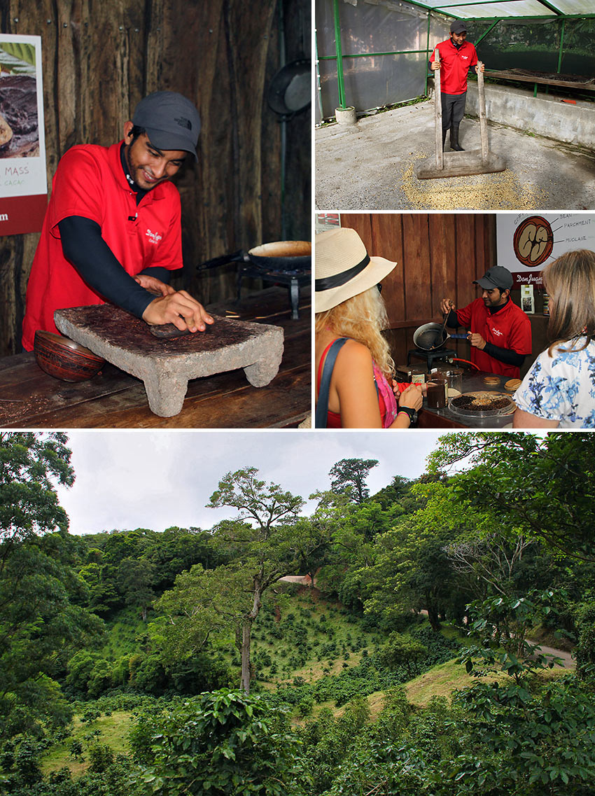 Don Juan Coffee Tour scenes, Monteverde