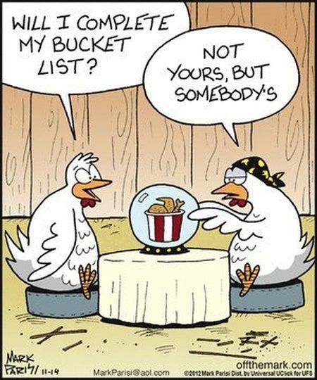 Parting Shot: Chicken Bucket List