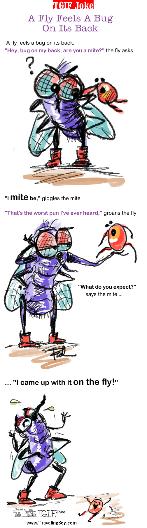 TGIF Joke of the Week: A Fly Feels a Bug on Its Back