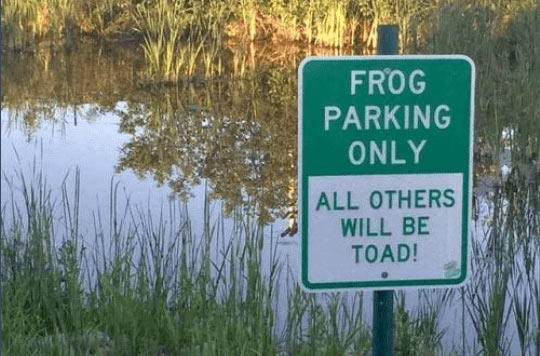 Don's Puns: Frog Parking Only