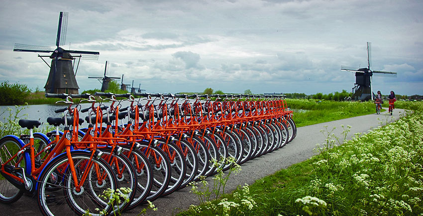 lined-up bikes and bikers, the Netherlands