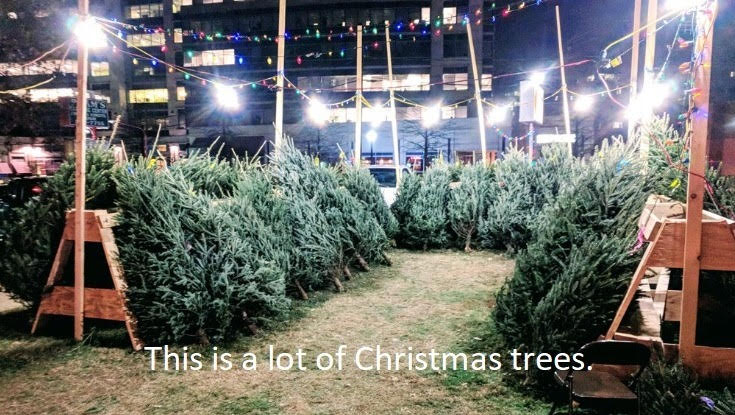 Don's Puns: Christmas Trees
