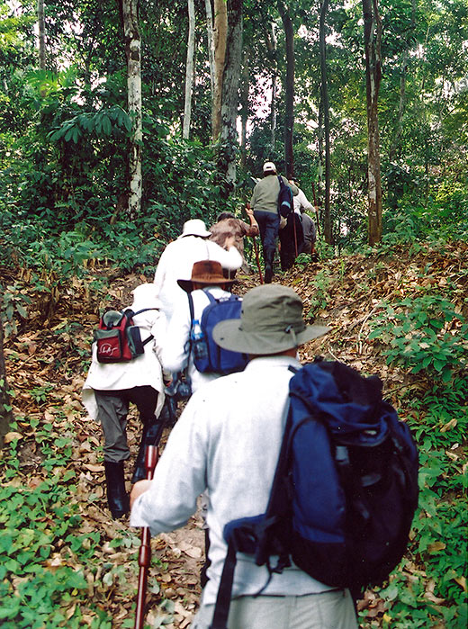 hiking through the Amazon forest