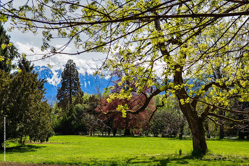 the Manoir’s 10 acres of expansive green grounds