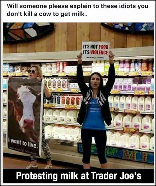 Parting Shot: Milk Protest