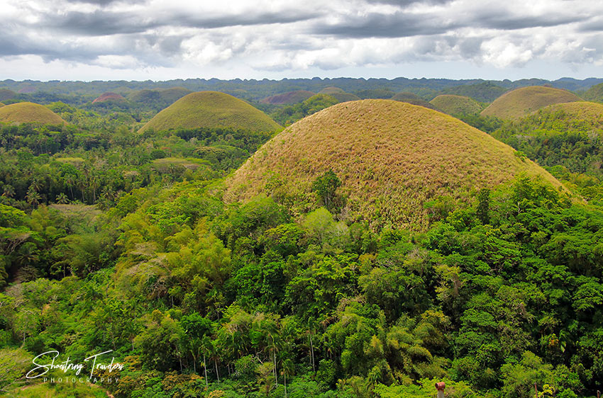 view of the Chocolate Hills from a view deck in Carmen