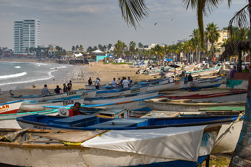 fishing boats adjacent to the Malecon, Mazatlan