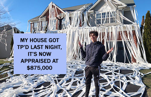 Parting Shots: TP'd House