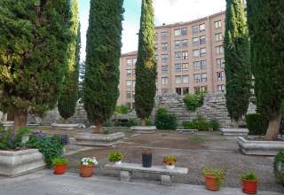 Valladolid garden