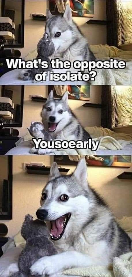 Don's Puns: Opposite of Isolate