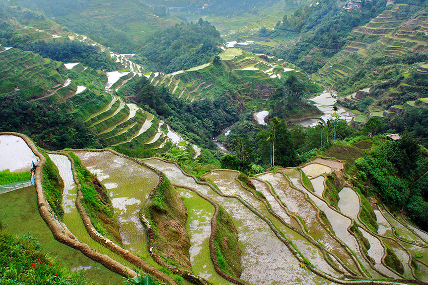 rice terraces in the town proper of Banaue, Ifugao