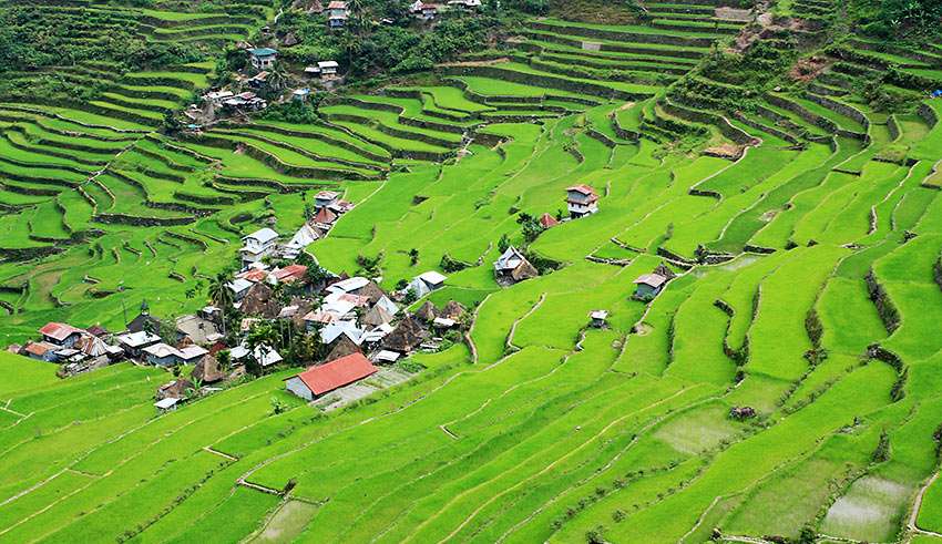 rice terraces in Batad village, Banaue, Ifugao