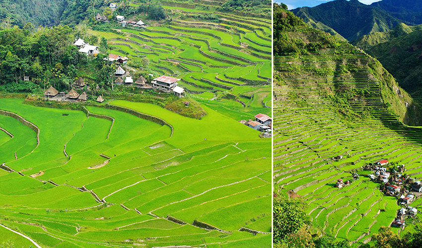 two views of the rice terraces in Batad village, Banaue