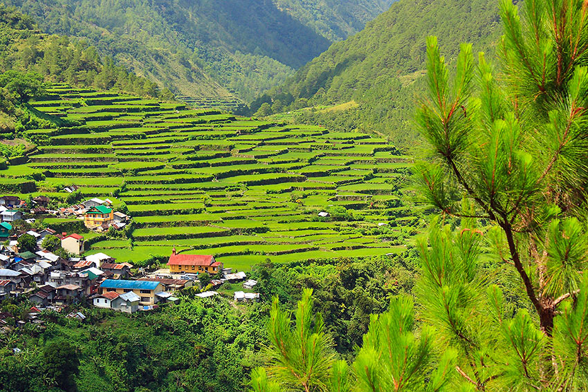 the Bay-yo Rice Terraces near the road going to Bontoc, Mountain Province
