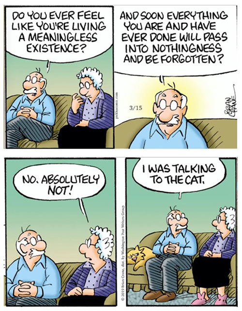 Parting Shots: Cat Existence