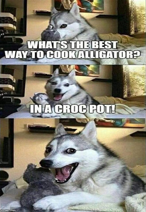 Don's Puns: Croc Pot