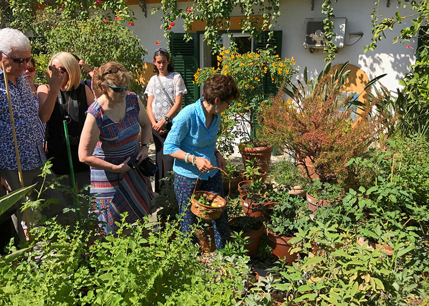 Duchess Nicoletta Tomasi with guests gathering herbs at the at the Palazzo Lanza Tomasi garden