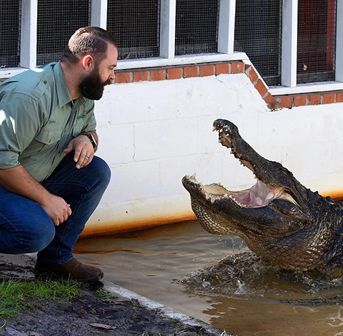 Captain Jeff Farmer with alligator at Wild Florida