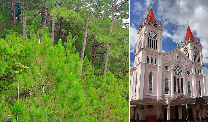 pine trees and the Our Lady of Atonement Cathedral in Baguio City