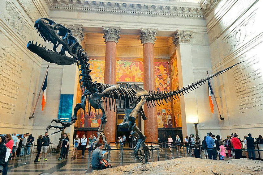 American Museum of Natural History