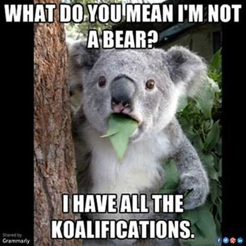 Rodney's Puns: Koalifications