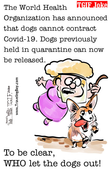 TGIF Joke: Covid Gag 4