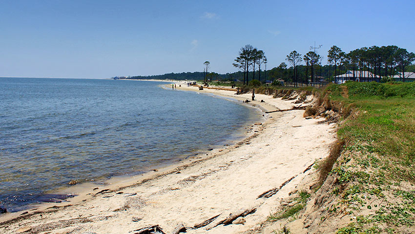 beach at Dauphin Island