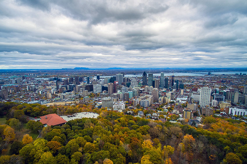 Montreal viewed from Mount Royal